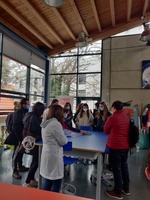 Alumnos de Educación visitan el Centro Estela